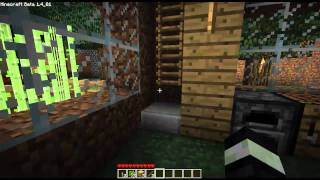 Pixieville Tour Part 1