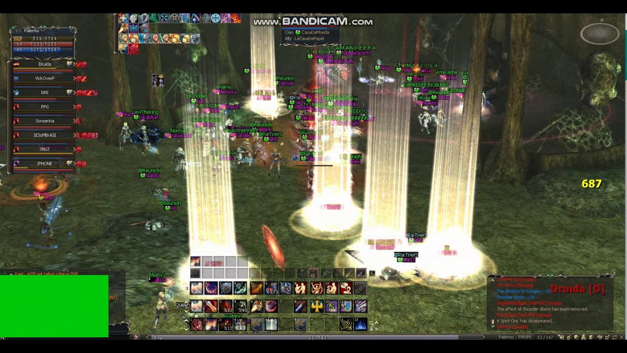 L2 Latin    Queen Ant