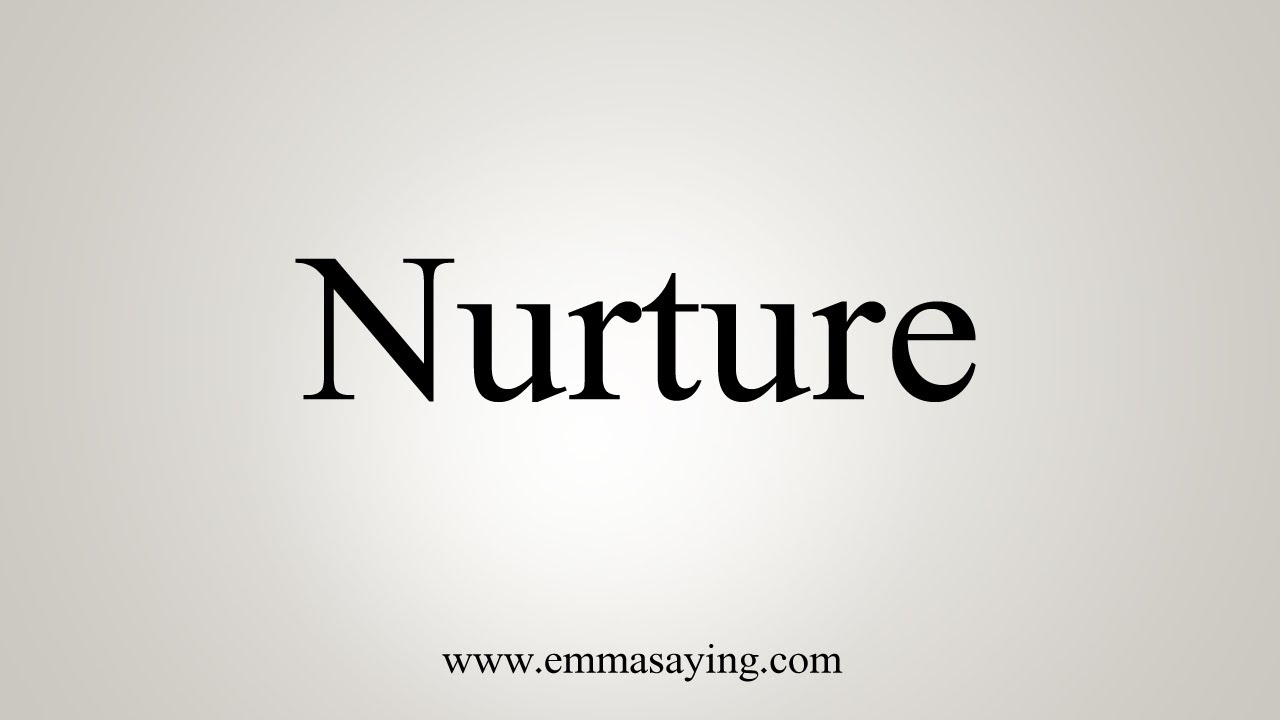 nurture meaning english