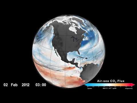 Movement of Carbon Dioxide Between the Air and Sea
