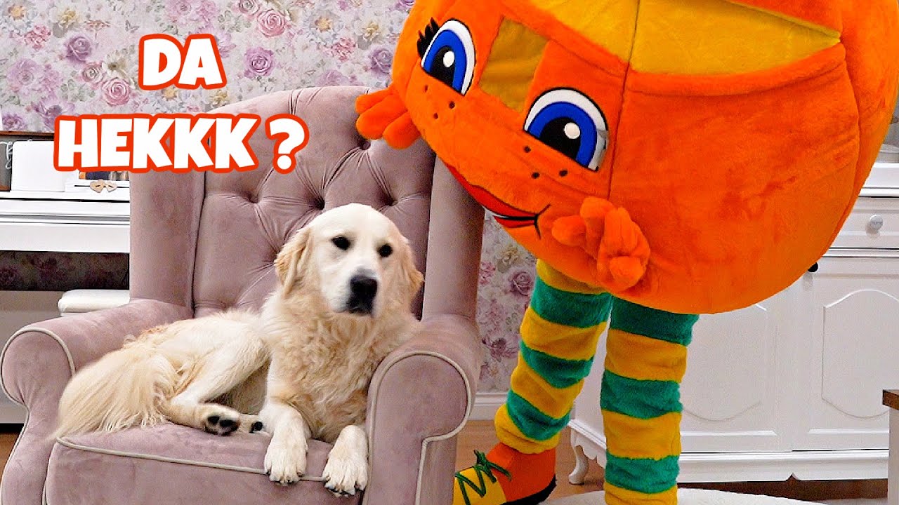 Hiding From My Golden Retriever and Then Scaring Him Dressed in Costume! [Try Not To Laugh}