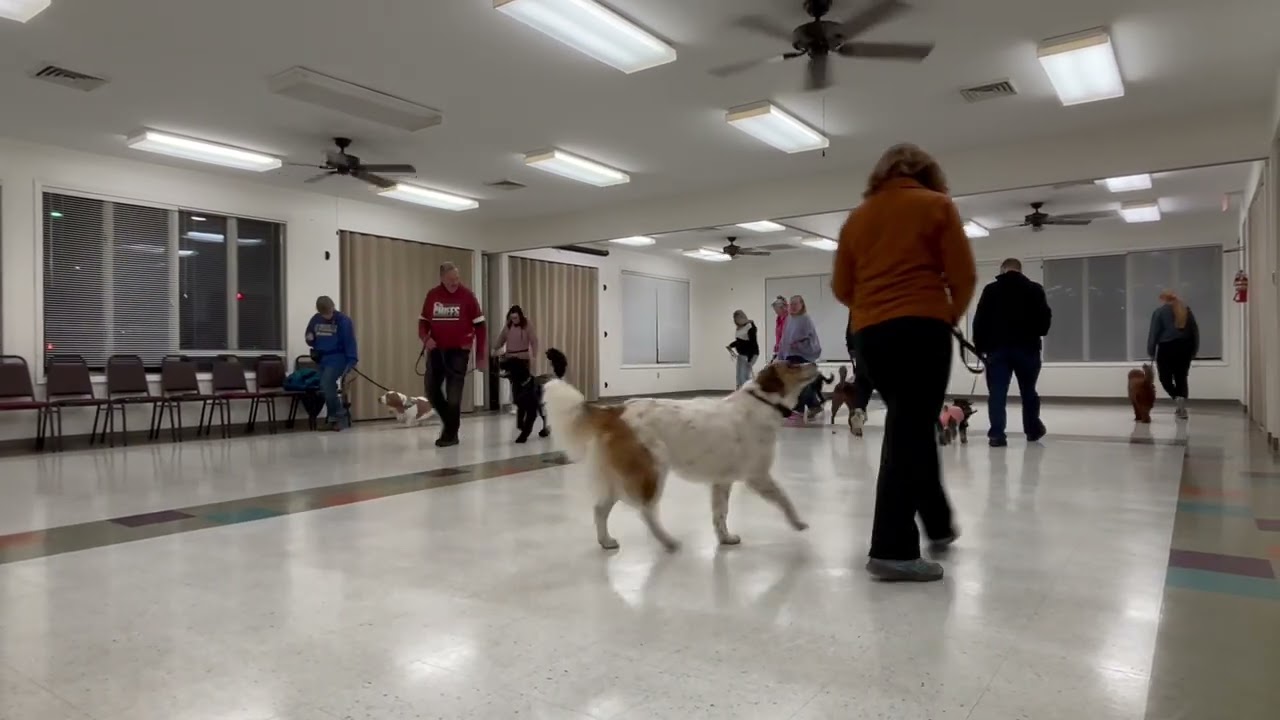 Jan 5, 2026 Lulu Quick Forwards/Halts