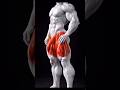best legs exercises #workout