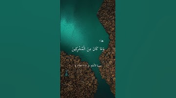 قُلْ إِنَّنِي هَدَانِي رَبِّي || تلاوة خاشعة بصوت الشيخ ماهر المعيقلي ارح سمعك