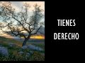 Tienes derecho