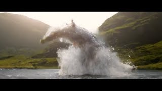 新たな魔法動物たちが大活躍！『ファンタビ』最新作スポット映像