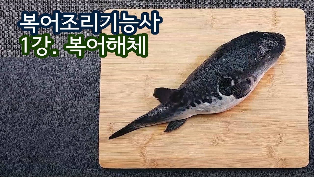 2019 복어조리기능사 실기영상 \