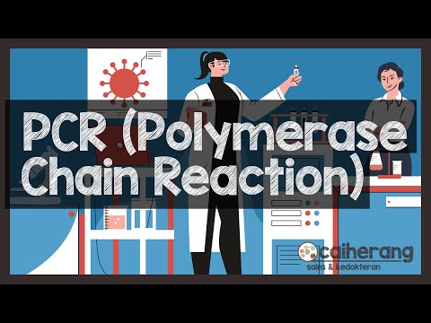 Video: Mengapakah PCR digunakan dalam proses penjujukan DNA?