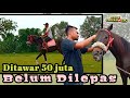 Ikut Mas Wawan Dan Mas Angga Melatih Kuda DAKOTA Canter Dilapangan Bola Kelurahan Brajan Klaten