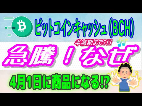 【ビットコインキャッシュBCH】24hで15％以上高騰！なぜ？【仮想通貨】4月1日に商品になる⁉半減期どうなる