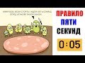 Лютые приколы . Правило Пяти Секунд . Лучшие мемы