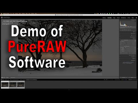 A Demo of PureRAW by DxO