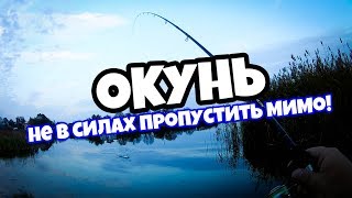 🎣 Отводной поводок. Окунь не в силах пропустить мимо!