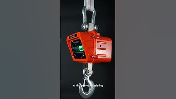 Weighing Crane Scale