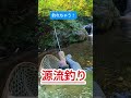 【渓流釣り】釣れちゃう。#釣り