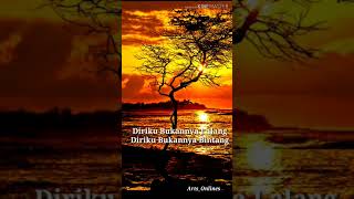 Saleem  Cinta Yang Terlarang