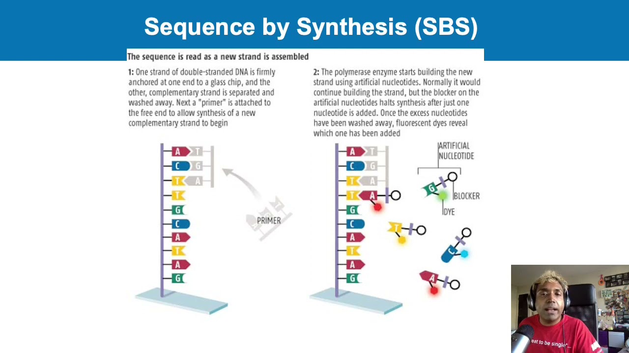 Evolution of sequencing