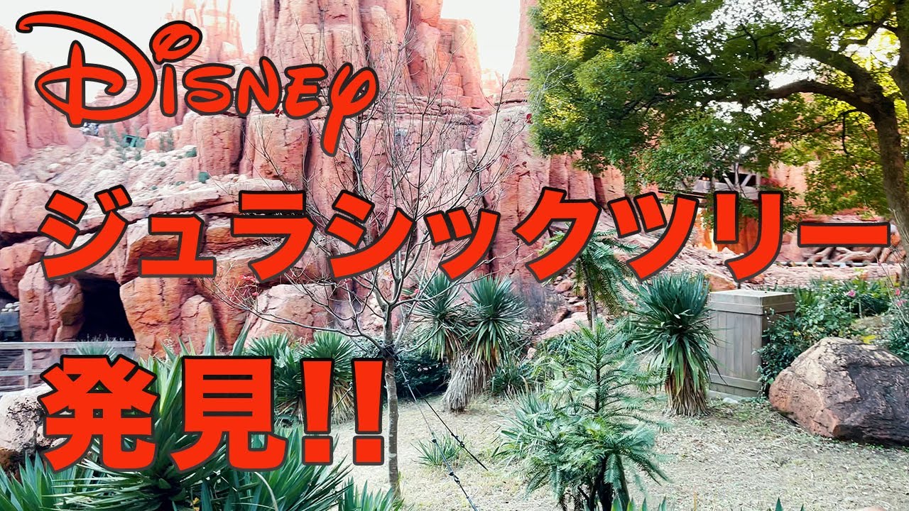 Iphone用ジンバルom4 世界最古の植物 ジュラシックツリー をウエスタンリバー鉄道から発見した Youtube