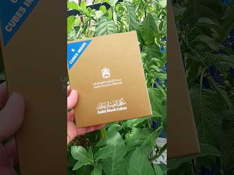 استعمالات المسك