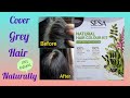Sesa ll Sesa Natural hair colour kit Review ll सफेद बाल काला करे naturally ll Hair colour ll Part-2