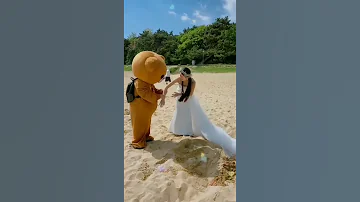 اغنيه دي قصة حب على شاطئ الهوى 