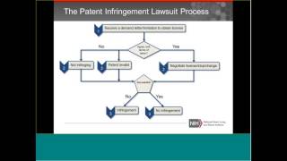 NHLBI Small Biz Hangout: Patent Litigation (Part 1)