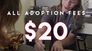 Mega Adoption 2017