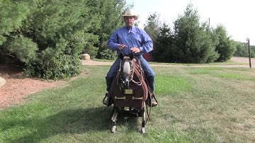 Shifting Your Weight Correctly in the Saddle  - Steve Lantvit Horseman