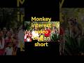 Monkey video #funny #foryou# foryou#lifeisbutadream