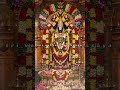 Tirupati Balaji | Tirupati Balaji Songs | Tirupati Balaji Status