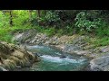 Relaxing River Sounds Emotional Therapy to Relieve Stress and Mental Disorders for Sleeping