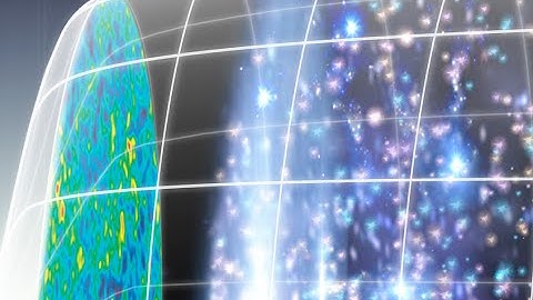 The Polarized CMB: From Neutrinos to Gravitational Waves