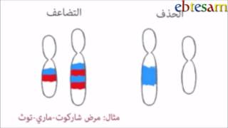 الطفرات الوراثية