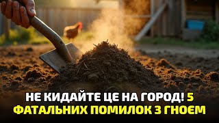 картинка: Не сип гній від курей абияк! 7 помилок, через які город перетворюється на пустелю!