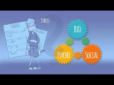 The biopsychosocial model - Explanation of chronic pain disorders