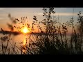 Sunset 4k stock  free stock footage  no copyright  all free