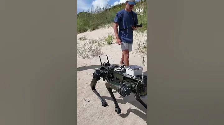 Why This Robot Is the Future of Coastal Defense