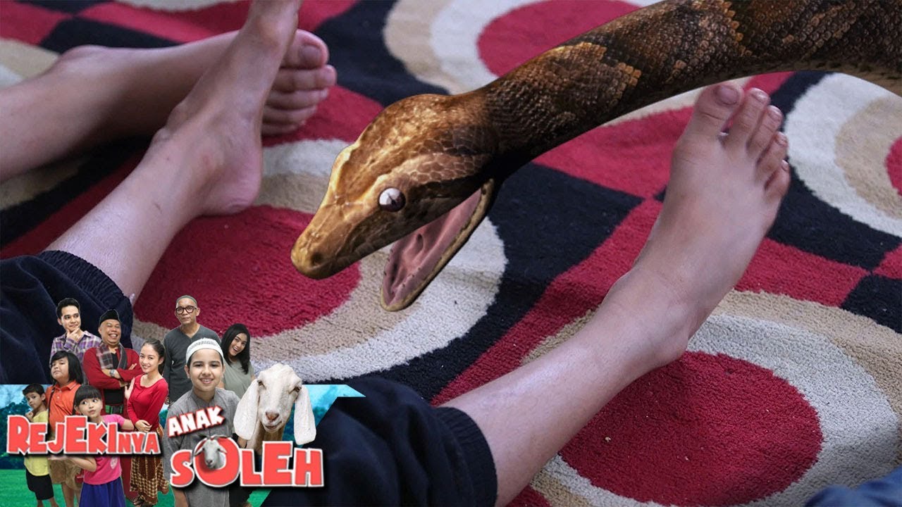 Yalangoch va katta kokrak porno Ayollarning katta yaralar bilan jinsiy aloqa qilish haqidagi sharhlari