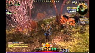 NeverWinter - Coop Party