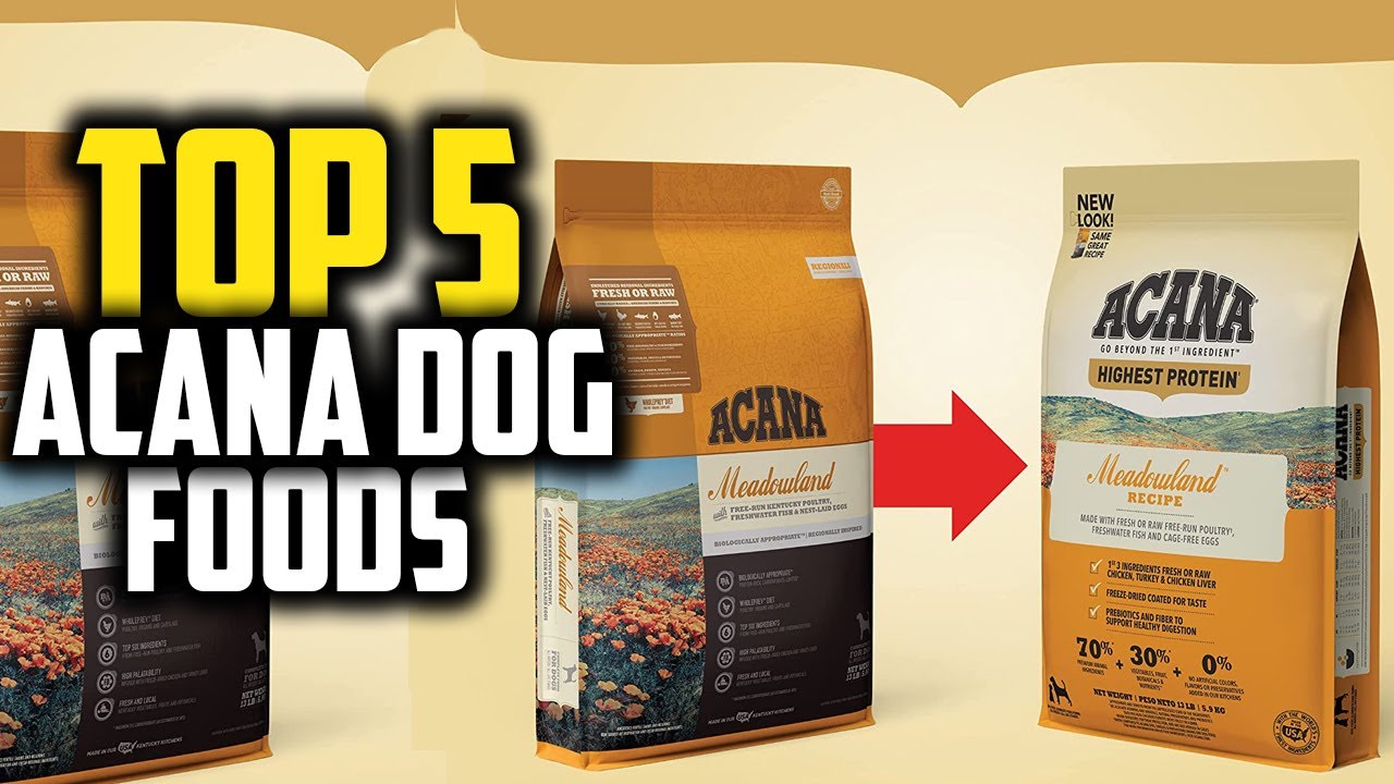 ✓Best Acana Dog Foods In 2023 Review - Youtube