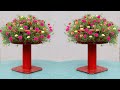 How to grow Beautiful Portulaca Grandiflora in plastic pot, Grow Portulaca from cuttings