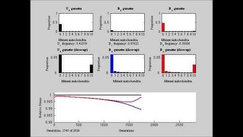 Selection against Heteroplasmy Explains the Evolution of Uniparental Inheritance of Mitochondria