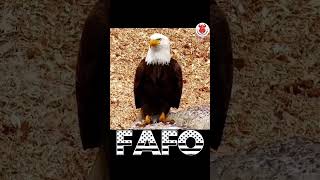Maduro found out Quick! #FAFO #donaldtrump #trending