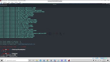 Automated XSS Finding for Bug bounty hunting : Param Spider , GXSS, Dalfox