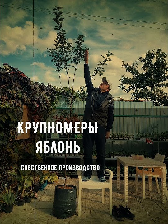 Яблони КРУПНОМЕРЫ - YouTube