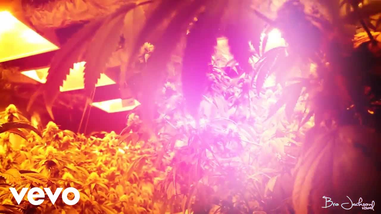 Lil Rue, Liqz - Hydro Tech (Official Music Video) ft. The Jacka