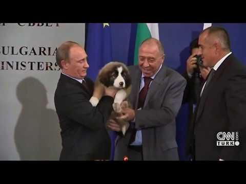 Video: Putin'in Hangi Cins Köpeği Var?