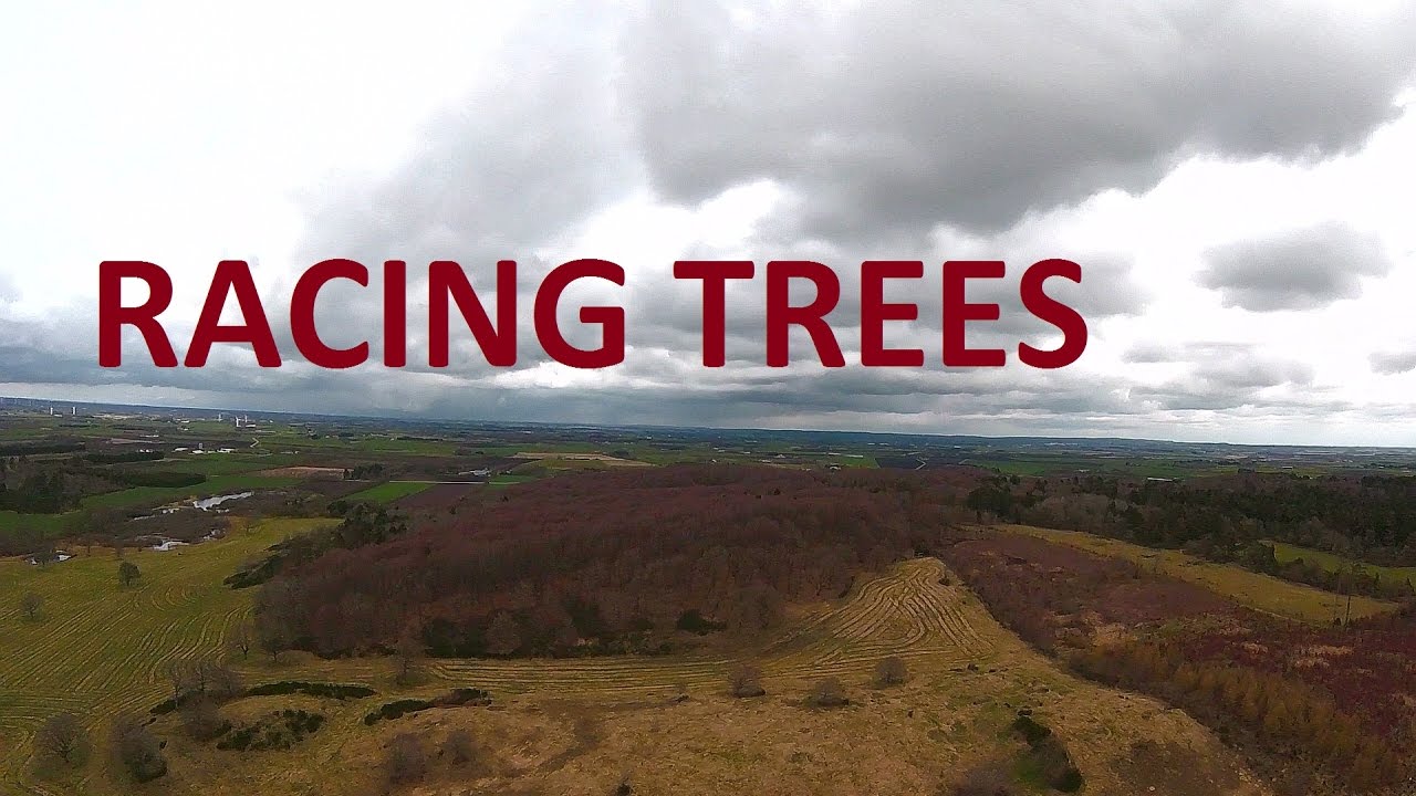 Racing Trees - YouTube