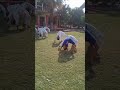 Chakraasana Race | Judo Kids Challenge