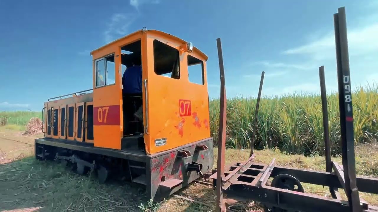 Numpang Kereta Lori Tebu di Tengah Perkebunan